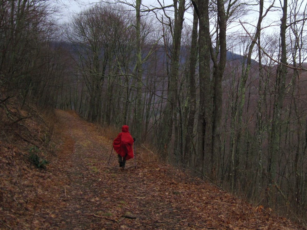 7374,_Fireball_on_high_road,_Rocky_Fork_Trail,_3-5-11.jpg