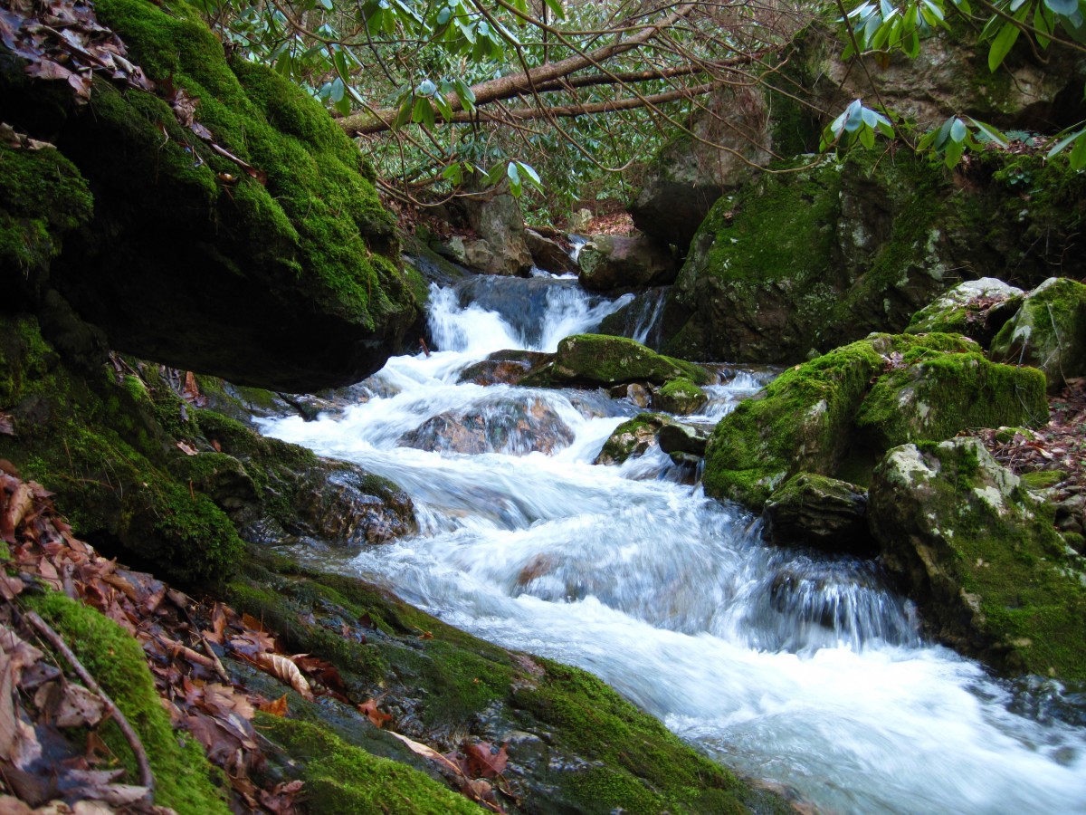 7544,_cascades_on_Sill_Branch,_3-11-11.jpg