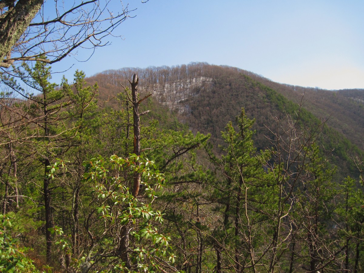 7844,_Chigger_Ridge,_3-12-11.jpg