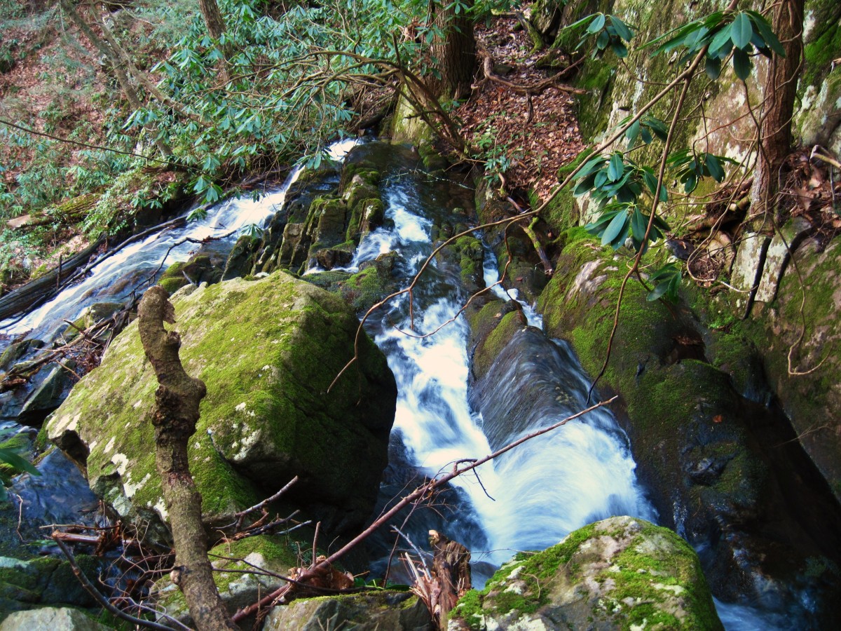 8003,_Jones_Branch_Falls,_3-19-11.jpg