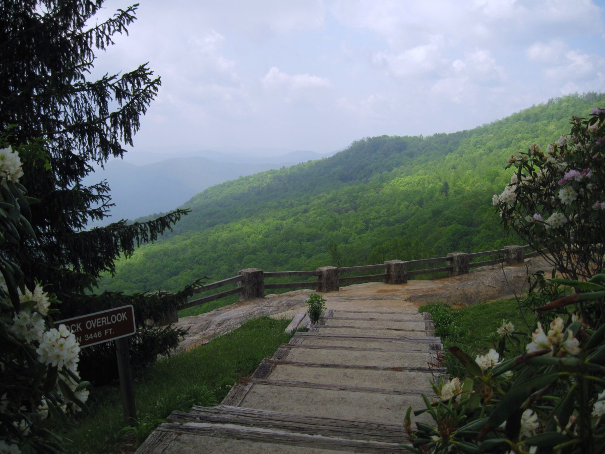 9101,_Overlook_at_Black_Rock_Mnt,_5-2011.jpg