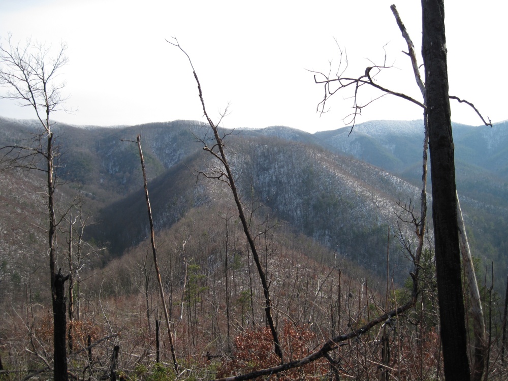 Big_Pine_Ridge19.jpg