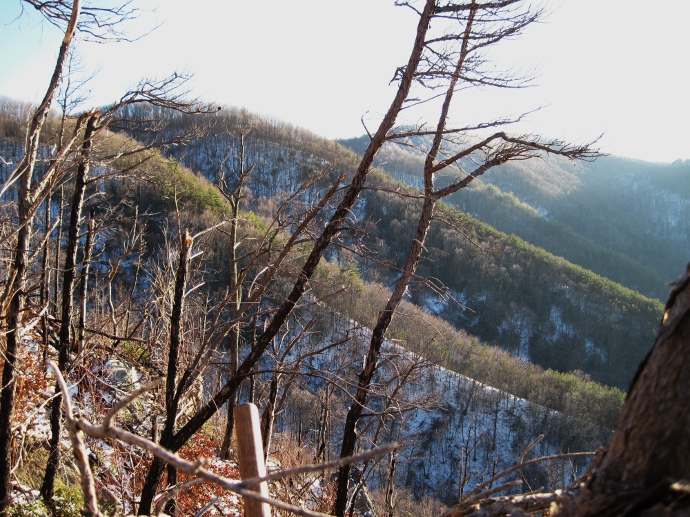 Big_Pine_Ridge43.jpg