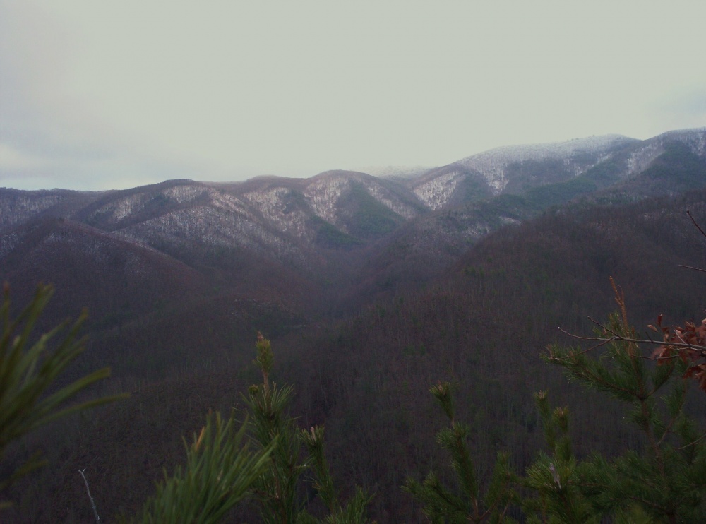 Devil_s_Fork_from_Longarm_Ridge,_1-1-2010.jpg