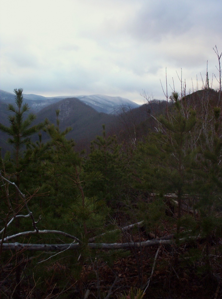Longarm_Ridge,_1-1-2010.jpg