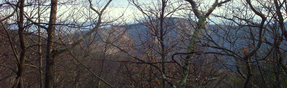 Looking_across_Nolichucky_Gorge_at_Devil_s_Creek_and_Lost_Cove_from_Unaka.jpg