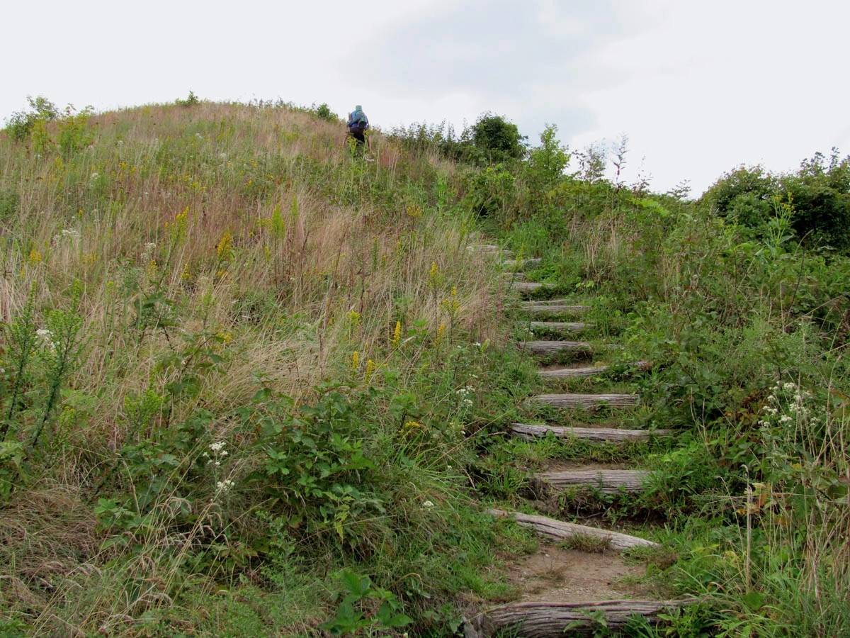 Max_Patch_ascent,_photo_by_Rat.jpg