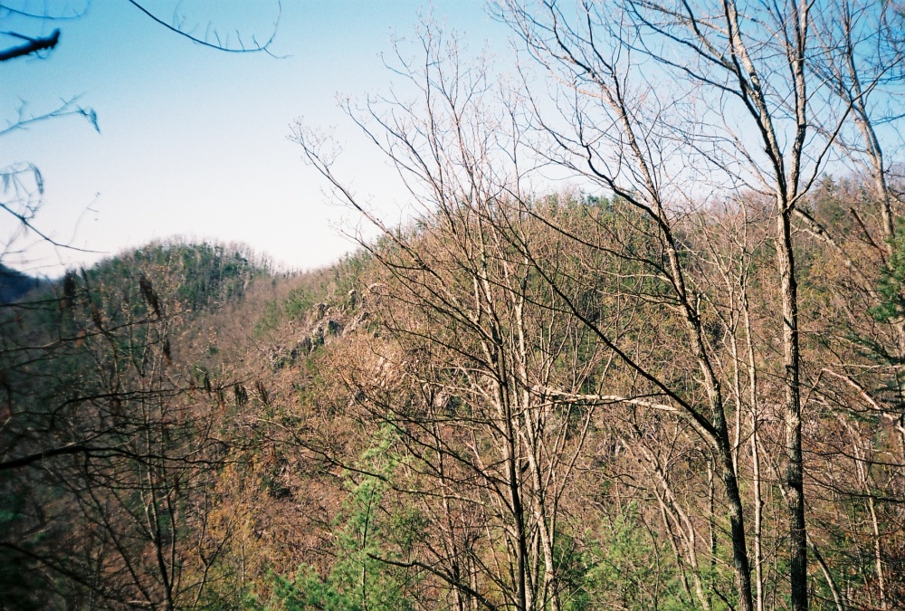 Monkey_Head_Rocks~0.jpg