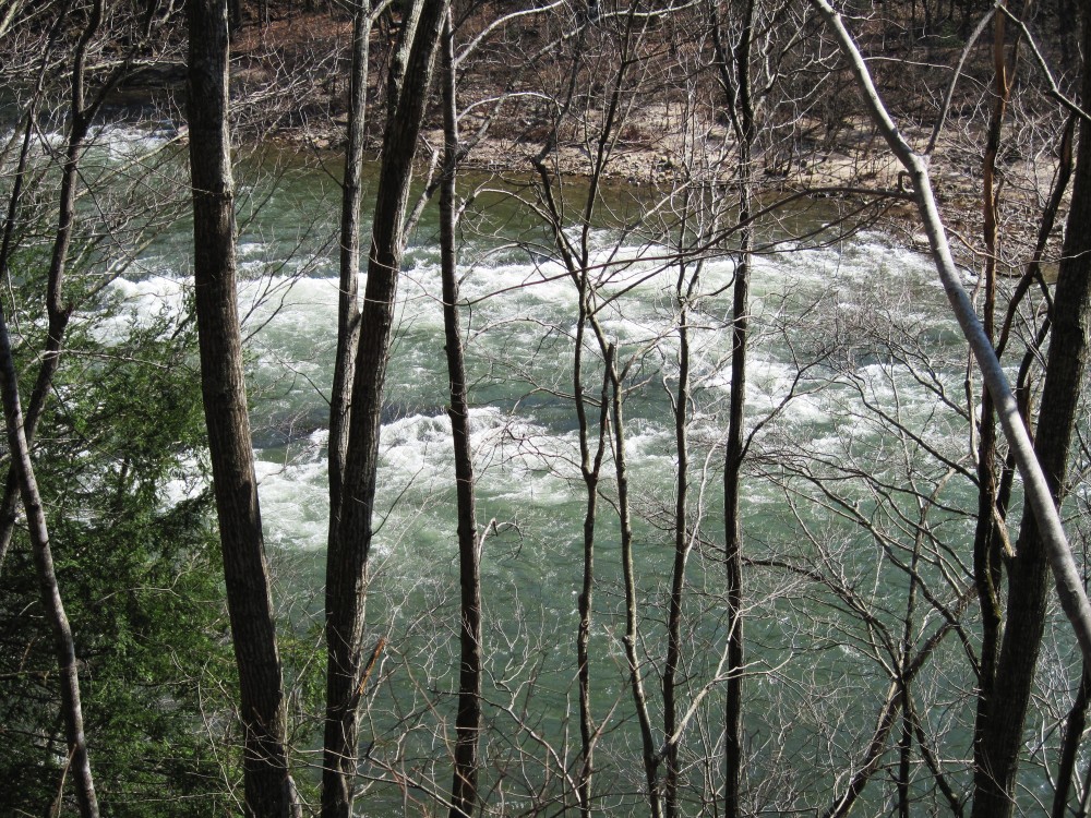 Nolichucky_River_3-18-10.jpg