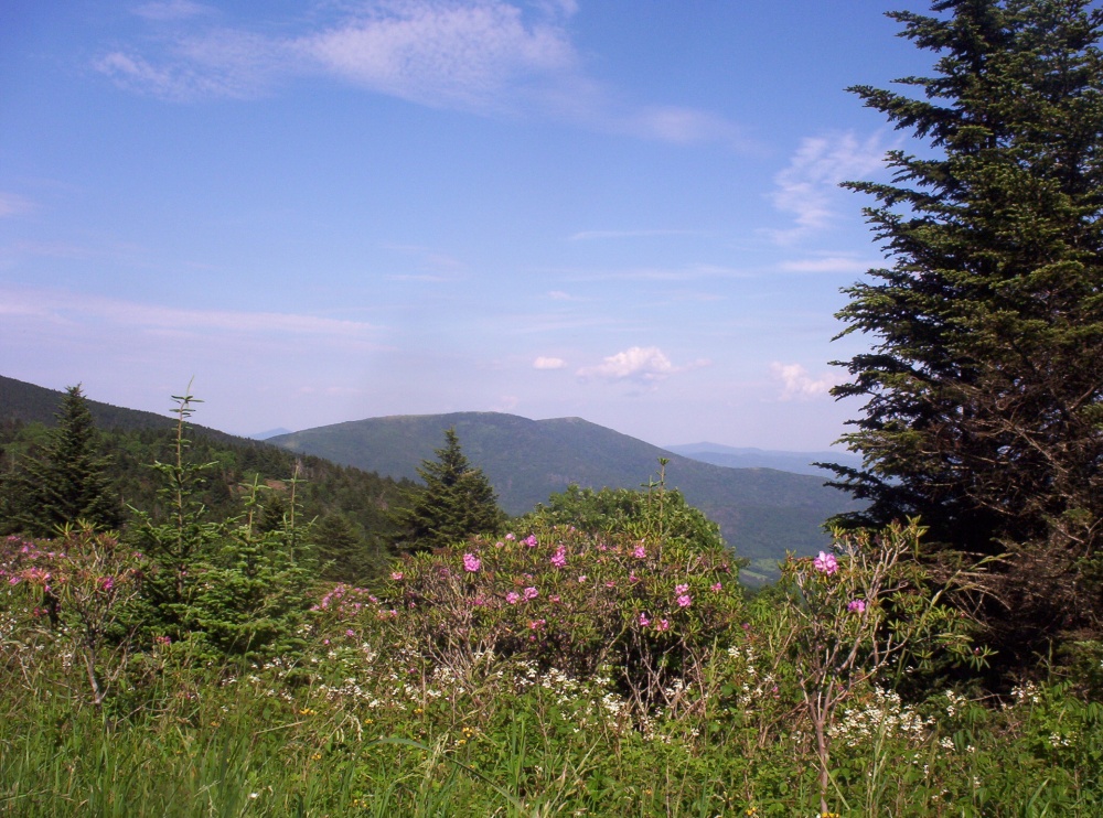 Roan_Mnt6.jpg
