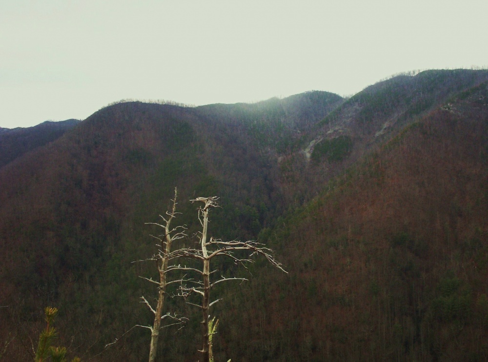 Sampson_Mountain,_1-1-2010.jpg