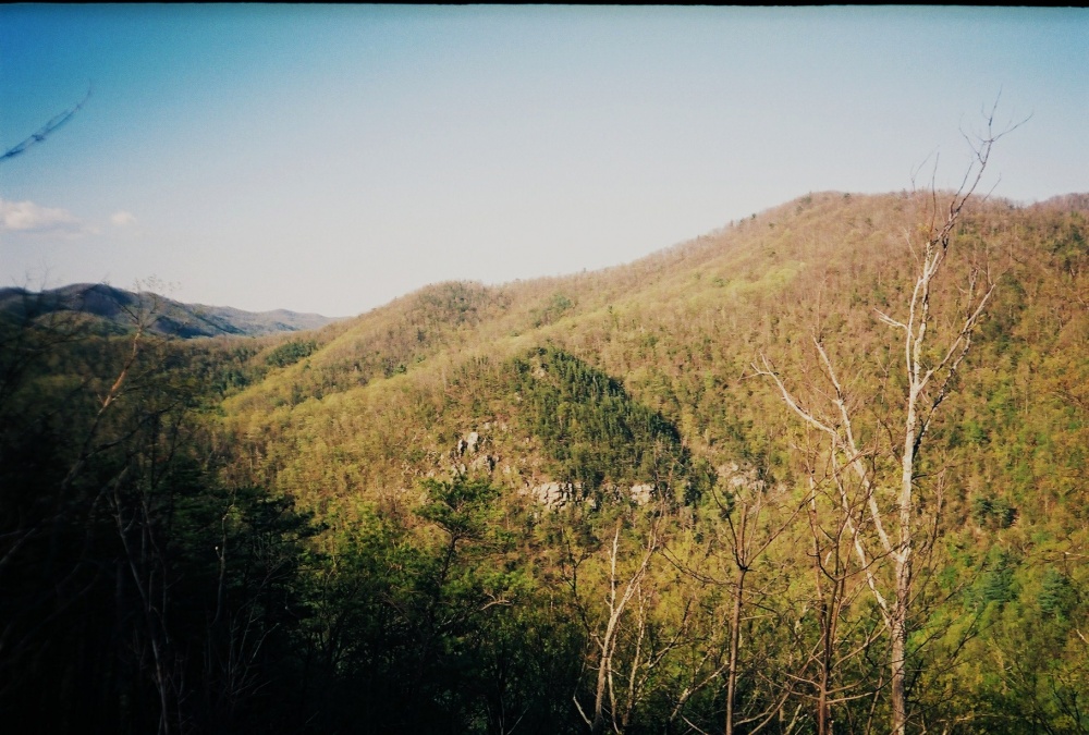 _The_Monkey_Head_Rocks__on_Boney_Knuckle_Knob,_as_seen_from_the__Volcano_,_May_2009.jpg