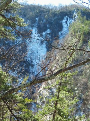Buckeye Falls
and giant cliff wall covered in ice,
3-6-10
