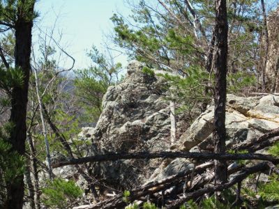Sill Branch Overlook
George Washington boulder?
3-19-10
