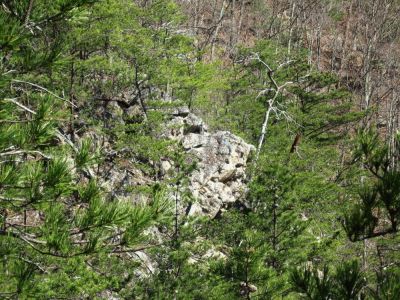 Sill Branch Overlook
...the giant 'Rat Sphinx',
3-19-10

