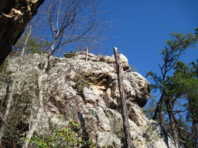 Sill Branch Overlook
The Right profile of the giant 'Monkey Sphinx' boulder/cliff,
3-19-10
