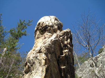 Sill Branch Overlook
...looking up at the giant 'Bird Rock',
3-19-10
