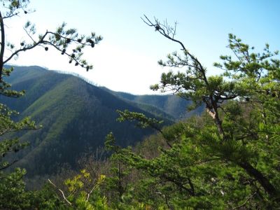 View of Sampson Mountain
...from the 'serpent heads rock' on the Sill Branch Overlook,
(aka, 'The Monkey-Head Rocks'),
3-19-10
