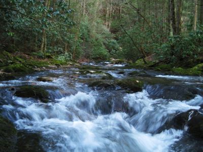 Cascades on Clarks Creek
3-19-10
