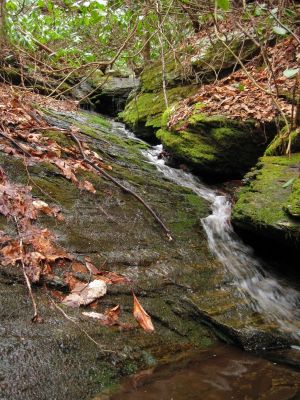 Slender Cascade
Hidden Hollow,
Rich Mountain, 2-28-2017
