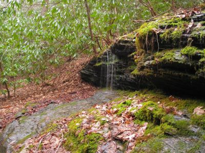 Black Walled Falls
...On a side hollow.
Hidden Hollow,
Rich Mountain, 2-28-2017
