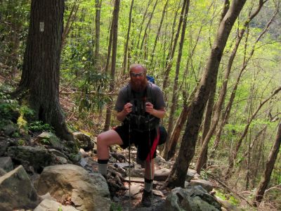 Red Beard
Red Beard--Thru-Hiker on the Appalachian Trail,
Laurel Fork, Pond Mountain Wilderness,
5-5-2015
