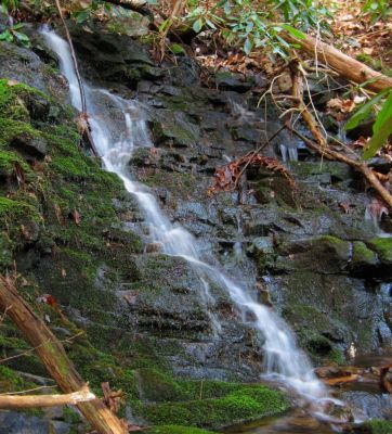 Cascades
Horse Creek Area, 
3-8-2017
