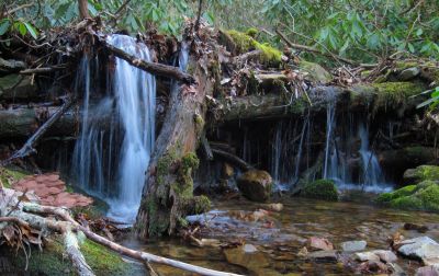 Cascades
Horse Creek Area,
3-8-2017
