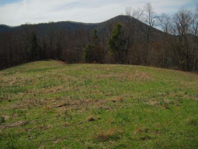 Meadow on Flattop Mountain
No Business Knob in the background.
3-22-2017
