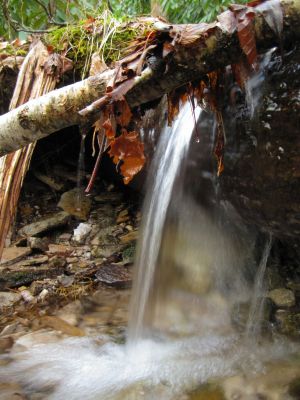 Small Cascade
...over a log.
Flattop Mountain.
3-22-2017
