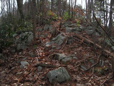 Cool Shortcut Trail
February 2015
