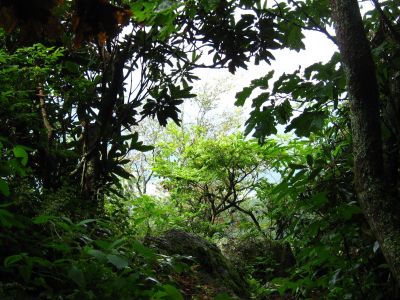 'High Rock' Bluff
Hogback Ridge Trail,
July, 2011
