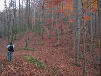 Temple Hill Gap
Rat arrives at Temple Hill Gap...
11-6-2011
