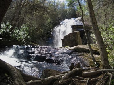 Jones Falls
April, 2010
