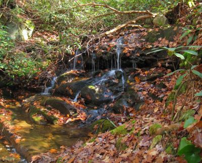 Cascades
on left fork of Davis Creek
11-12-2011 
