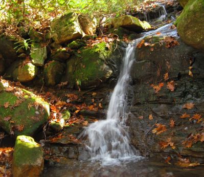 Cascades
on left fork of Davis Creek,
11-12-2011 
