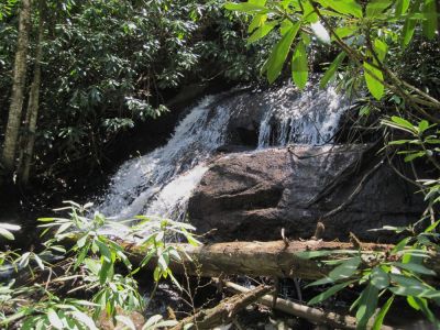Cascades
...above Jones Falls.
April, 2010
