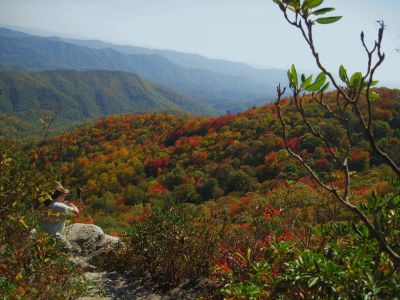 View From White Rocks Cliff, NC
October, 2011
