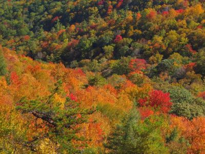 View From White Rocks Cliff, NC
Autumn Colors...
October, 2011
