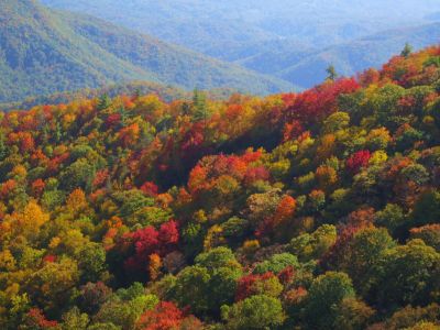 View From White Rocks Cliff, NC
October, 2011
