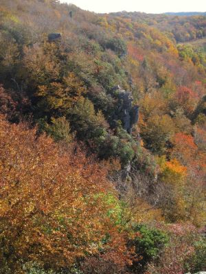 View From Blackstack Cliffs
October, 2011
