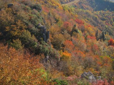 View From Blackstack Cliffs
October, 2011
