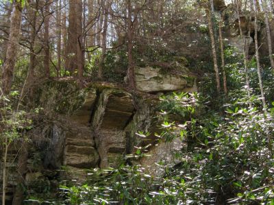 Cliff Wall
Near Elk River Falls.
April, 2010
