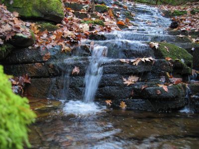 Cascades
Davis Creek/Phillips Hollow Trail.
11-12-2011 
