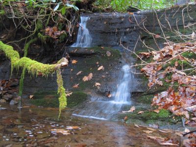 Cascades
on Davis Creek/Phillips Hollow Trail.
11-12-2011 
