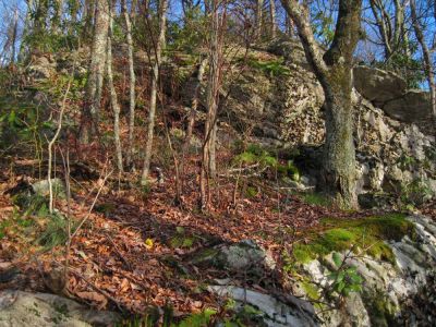 Rocky Bluff
Near Fox Cabin site/top of Phillips Hollow Trail,
11-12-2011 
