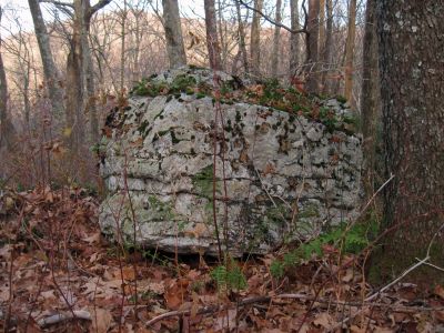 Cool Boulder
Near Fox Cabin/top of Phillips Hollow Trail,
11-12-2011 
