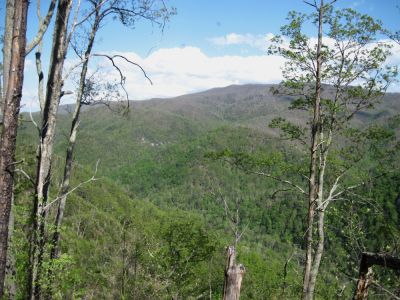 View from Sampson Mountain
Sill Branch and the 'meat-grinder' ridge where Rich and Embreeville Mountains butte together.
April, 2010
