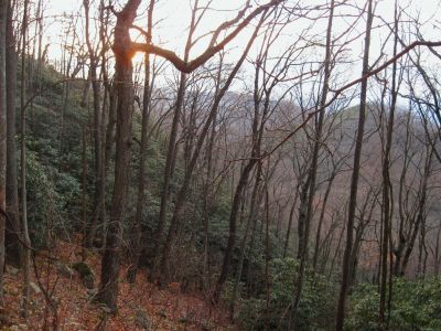 Sunset
Trail to Round Knob.
11-12-2011 
