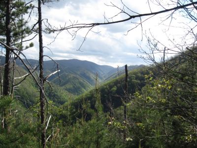 View from Sampson Mountain
Clarks Creek Valley.
April, 2010
